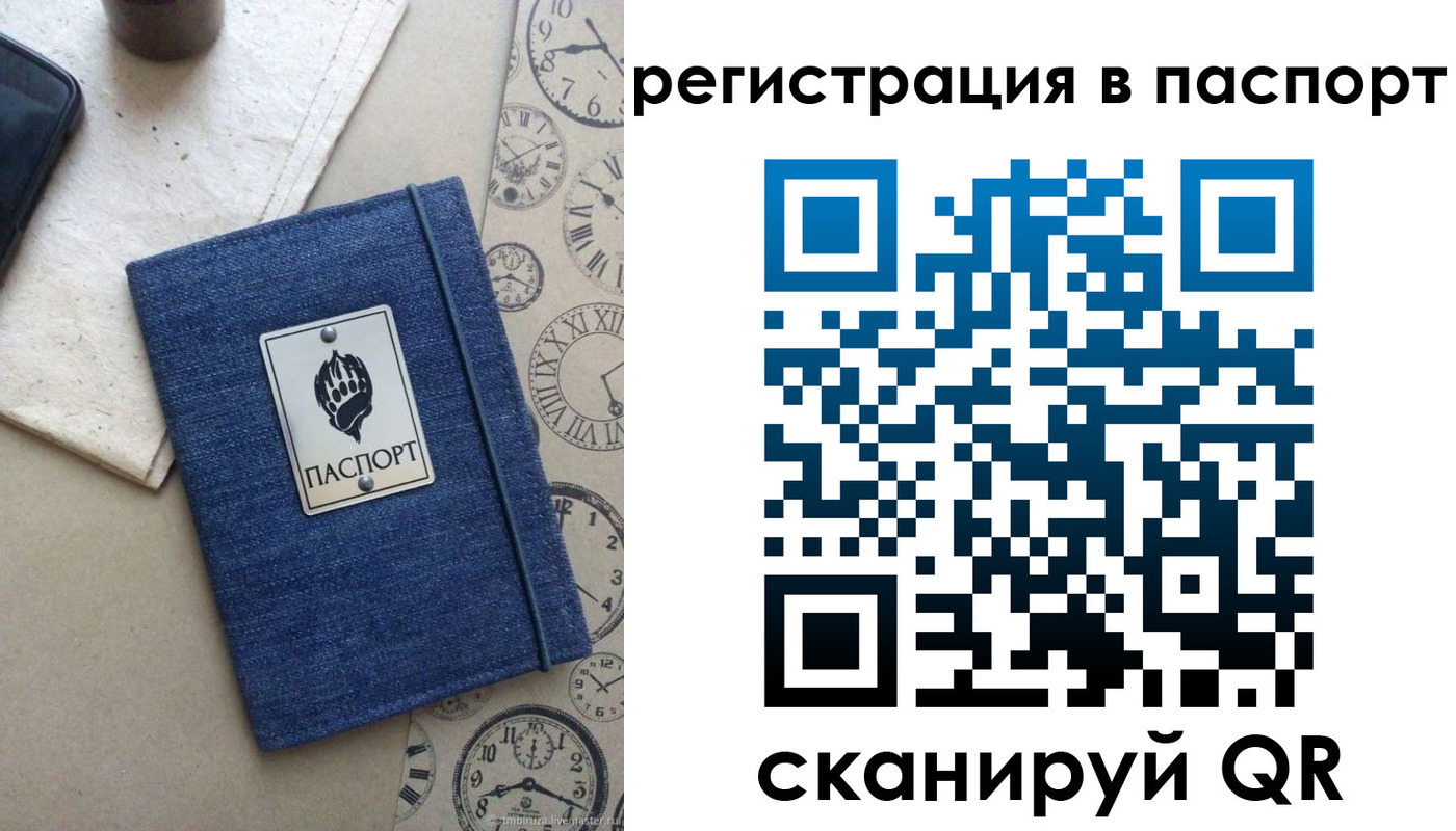 прописка в Петропавловске-Камчатском